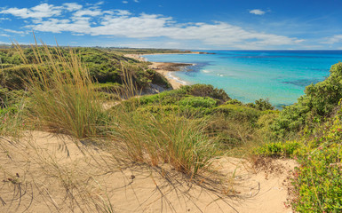 Summer beach.Torre Guaceto Nature Reserve: panoramic view of the coast from the dunes.Italy (Apulia). Mediterranean maquis: a nature sanctuary between the land and the sea.