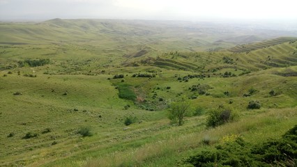 Fototapeta premium Green mountains in summer