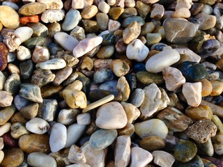Beach stones