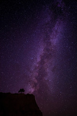 A lone isolated tree stands watch in a plateau in as the stars of the milky way are strewn across the sky. The vigilant tree acts as a sentinel guarding the mystical secrets of the ancient in Bryce