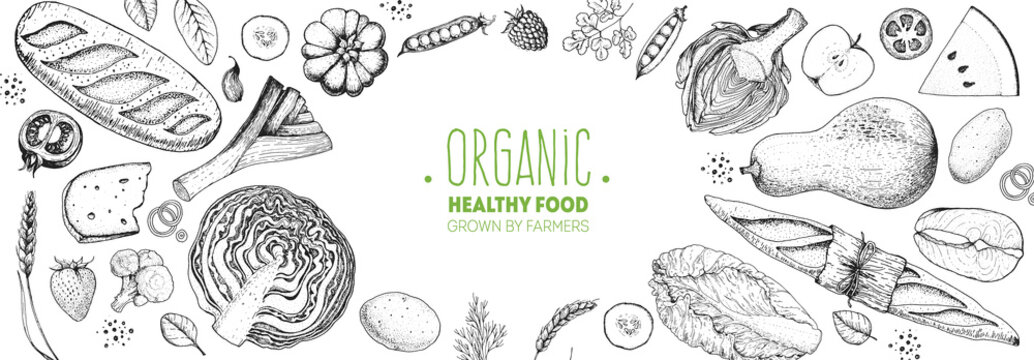 Healthy food vector illustration. Hand drawn sketch. Organic products set. Farm market food collection.