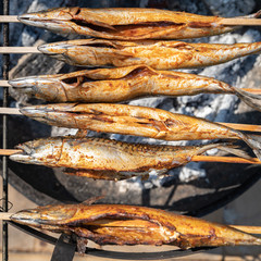 Barbecue mackerel with friends in the garden in summer. Leisure, relax, fun with friends and delicious food
