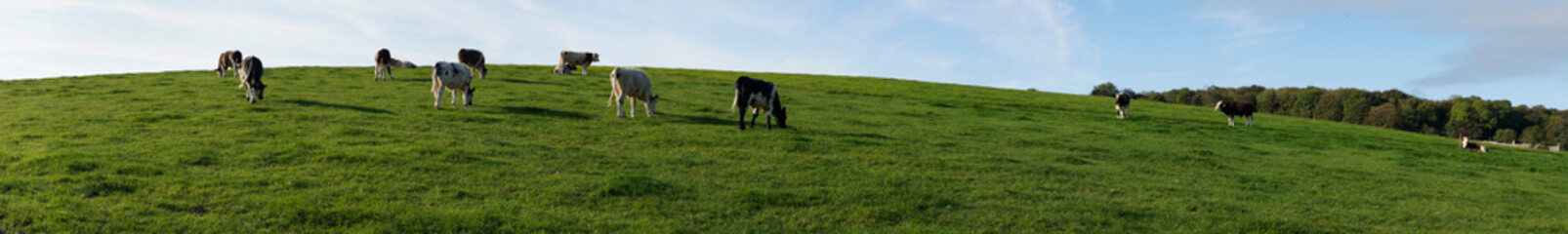 UK, England, Dorset, landscape panorama