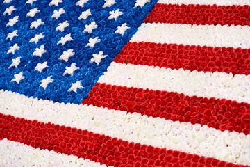 Rows of colorful flowers in form of USA flag