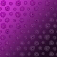 Luxury floral background with primula flowers. Greeting card concepte.