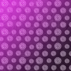 Luxury floral background with primula flowers. Greeting card concepte.