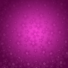 Beautiful pink chrysanthemum flowers in soft style for background