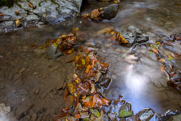 Curak creek near Skrad, Croatia