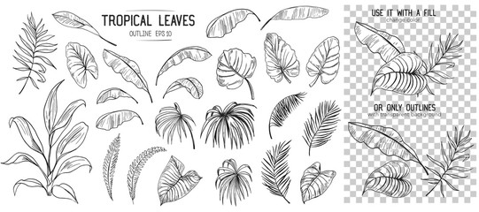 Set of tropical leaves. Hand drawn sketches traced in vector