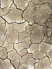 Shapes created by the dry cracked earth during drought