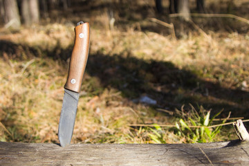 hunting and bushkraft knife