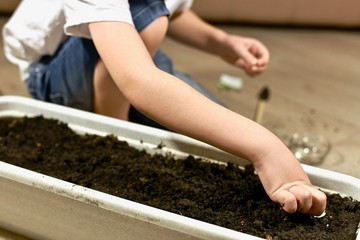 The child began to make indentations in the ground for planting seeds.
