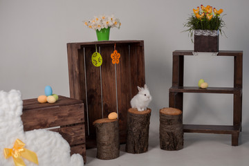 Easter bunny with decor