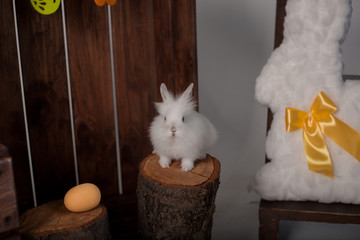 Easter bunny with decor