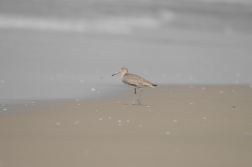 All Alone