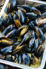 grilled mussels on the grill