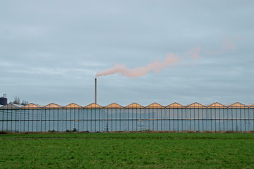 Obraz premium Orange light escape from greenhouse nursery in the Netherlands. The orange light makes plants growing faster but causes light pollution