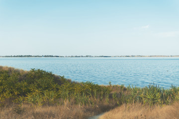 The path in the grass leading to the sea.