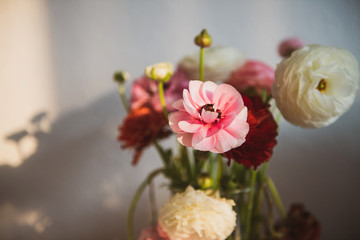Vintage colored beautiful ranunculus bouquet flower in vase against white wall with shadows of the flower from warm summer light 
