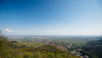 Aerial drone view over the colorfoul French city of Ribeauville in Alsace with tiny houses, churches, grape vineyards, and black forest in the background 