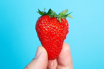 hand holding a strawberry on blue background