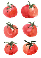tomatoes  watercolor illustration - organic healthy food