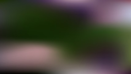 Delicate shades. Soft color gradients. Harmonious colors. Soft color backing abstract.