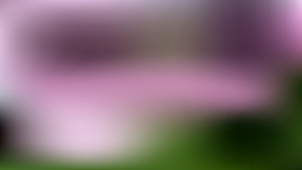 Delicate shades. Soft color gradients. Harmonious colors. Soft color backing abstract.