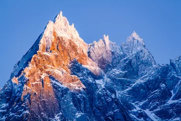 Foto auf Acrylglas Mont Blanc Alpine Nadeln