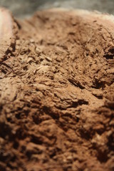 Close-up picture of rotten wood dust. Brown decayed log.