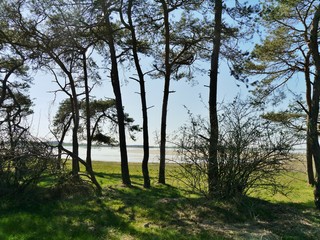 Obraz premium Boddenladnschaft