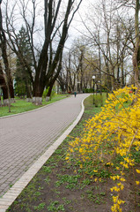 places of rest in parks and open squares in spring on a bright day with light green grass