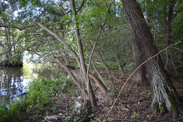 &aring;rsta holmar, stockholm, sweden