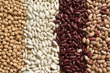 Chickpeas, white navy beans, red beans and cranberry beans.