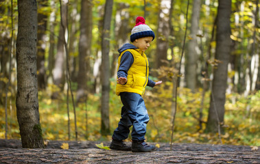 A little boy in a cap walks on a log