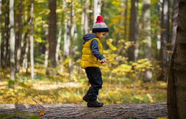 A little boy in a cap walks on a log