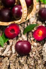 Ripe Plums. Selective focus.