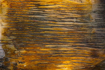 wood fossils texture with shiny and marble textures with brown color and crack around - photo