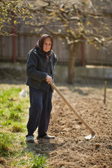 Old farmer woman with a hoe