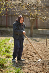 Old farmer woman with a hoe