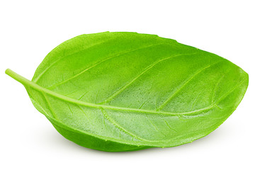 Obraz premium basil, isolated on white background, clipping path, full depth of field