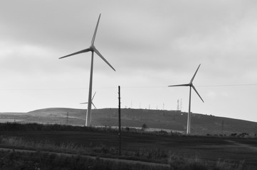 wind turbines in a landscape
