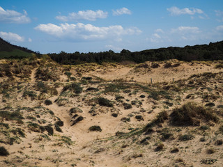 dunes of a beach in Spain