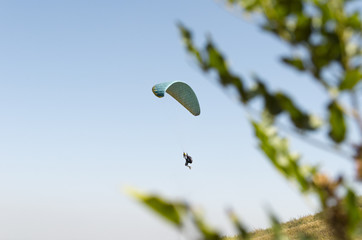 A man flies on a paraglider over green fields in the hot summer. Against the background of blue sky and rare clouds
