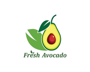 avocado illustration vecto