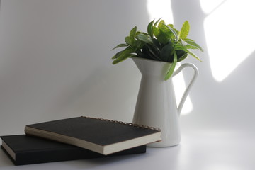 Black Books and The green Leaves in White Vase on White Background