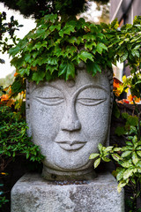 植物が髪の毛みたいな石像