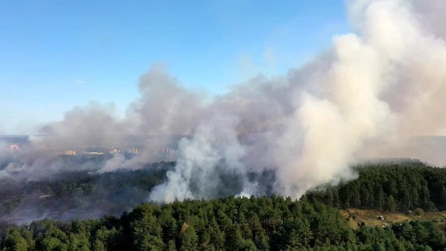 Forest Fire in Fordon - Bydgoszcz in Poland - Panorama Aerial View from Drone