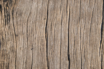 Abstract old wood grunge texture
