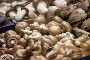 Agaricus bisporus, or brown common mushrooms for sale on a Canadian market in Montreal, Quebec. This fungus is also called by the name champignon de paris or portobello mushroom